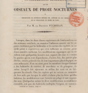 Oiseaux de proie nocturnes